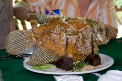 Большая рыба